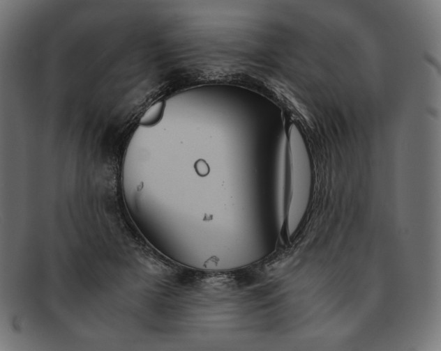 X0000091860505200709191119