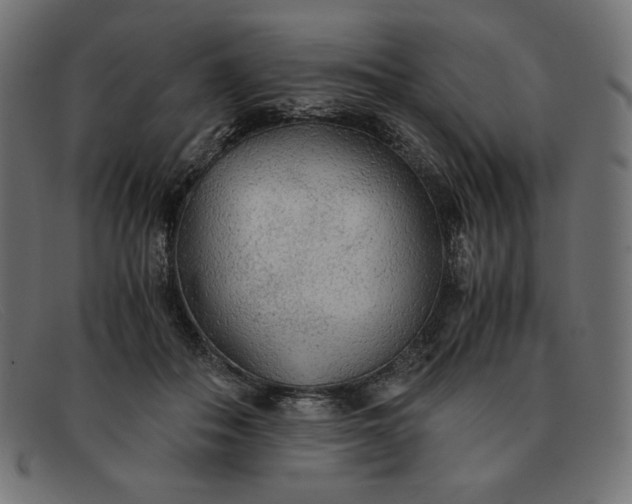 X0000091860506200709191119