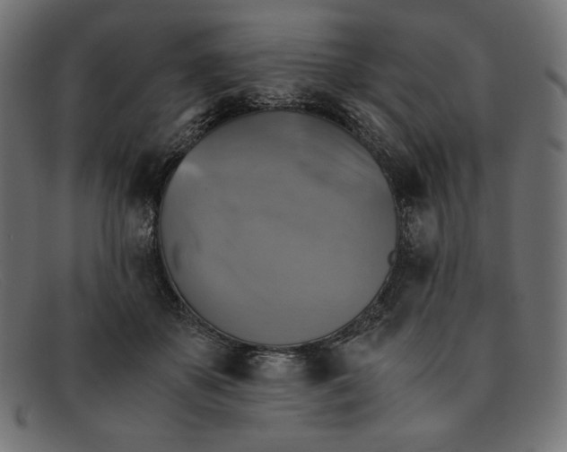 X0000091860507200709191119