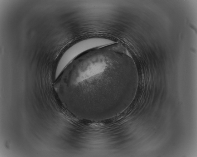 X0000091860508200709191119