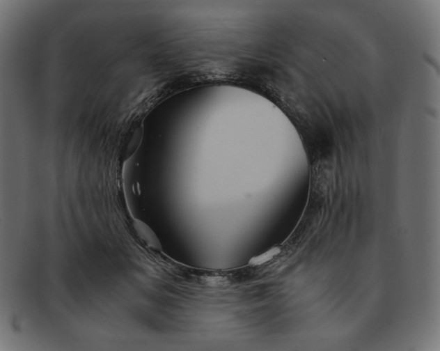 X0000091860509200709191119