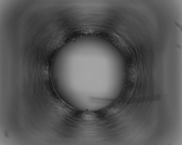 X0000091860510200709191119