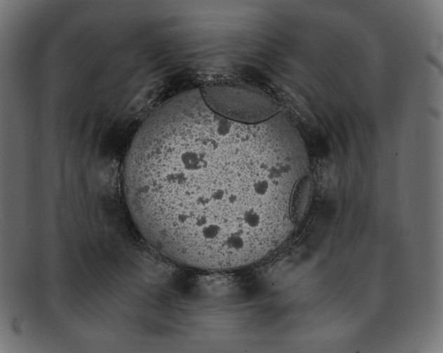 X0000091860511200709191119