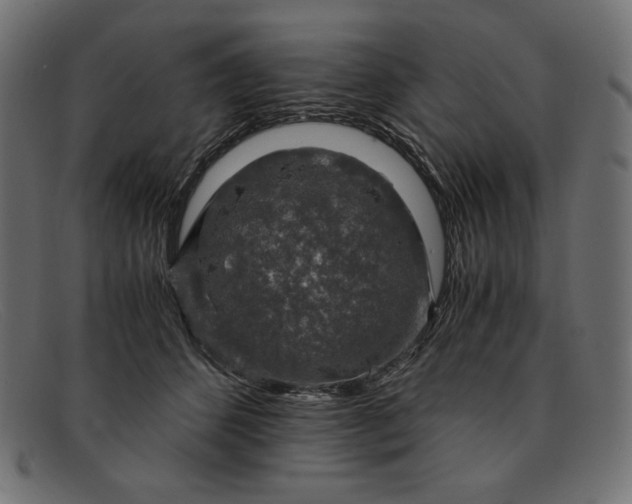 X0000091860512200709191119