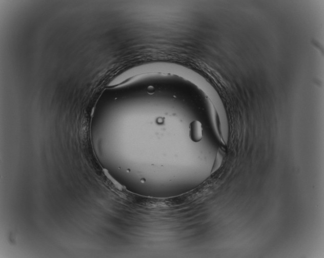 X0000091860513200709191119