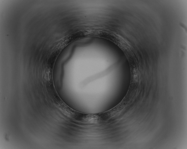 X0000091860514200709191119