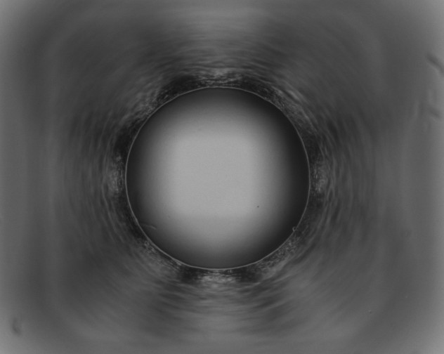 X0000091860515200709191119