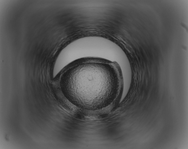 X0000091860516200709191119