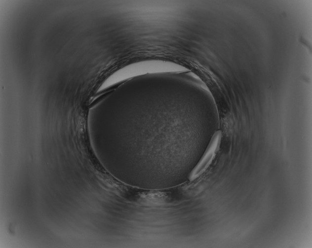 X0000091860517200709191118