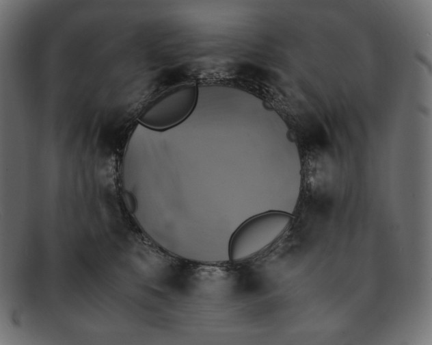 X0000091860519200709191118