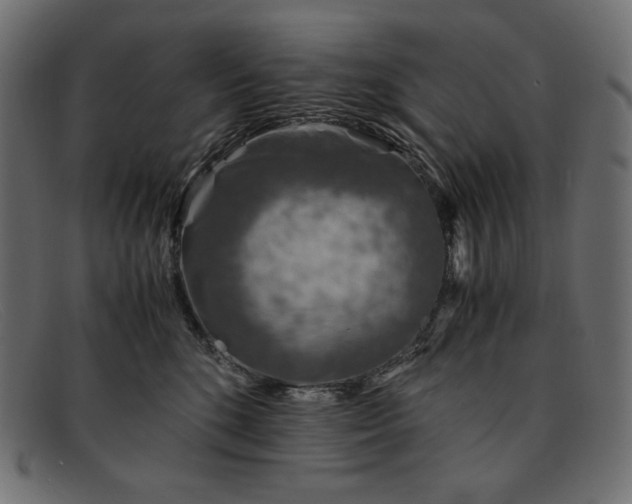 X0000091860520200709191118