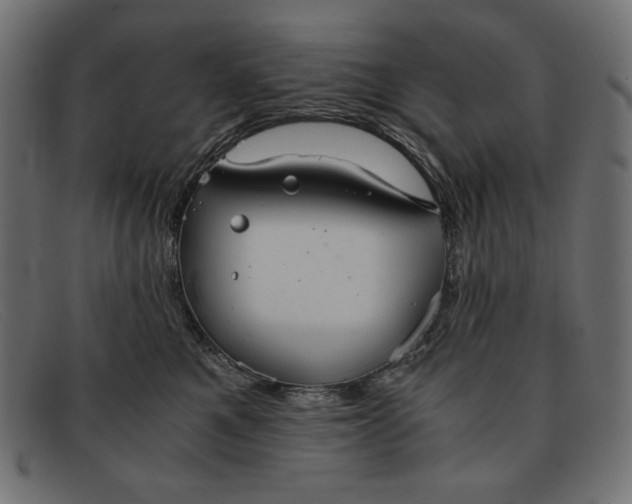 X0000091860521200709191118