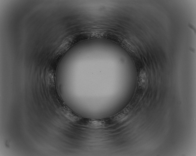 X0000091860522200709191118