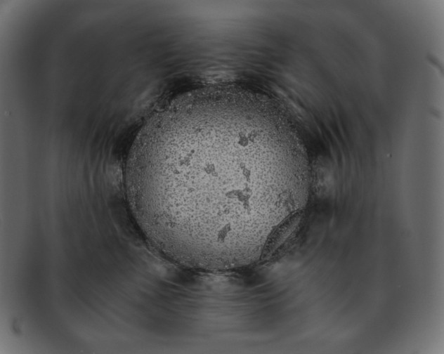 X0000091860523200709191118