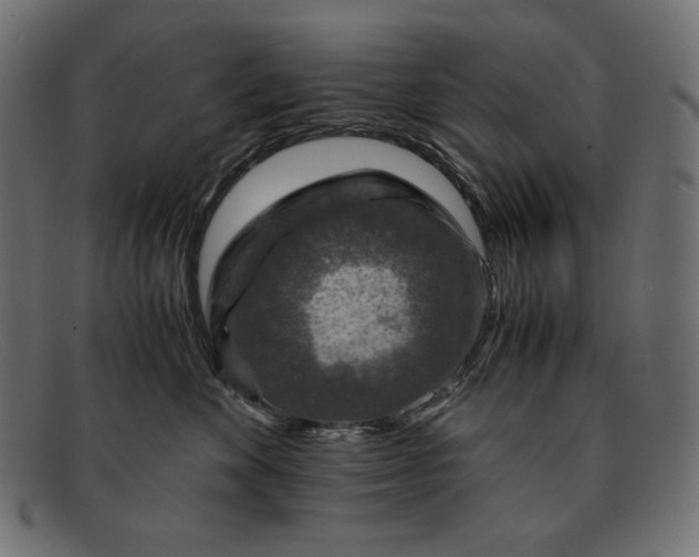 X0000091860524200709191118