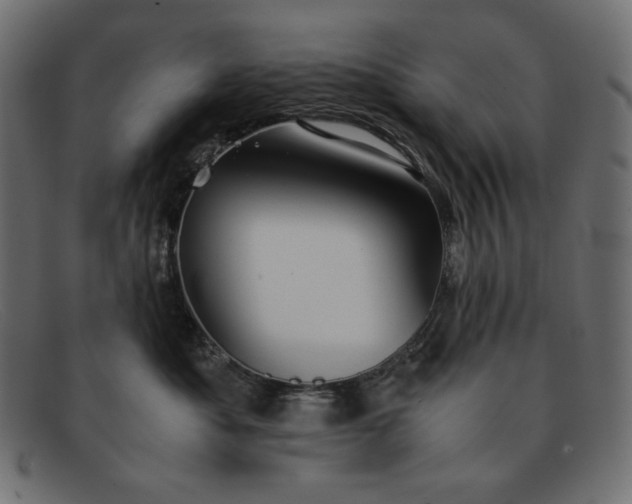 X0000091860525200709191118