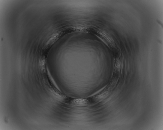 X0000091860526200709191118