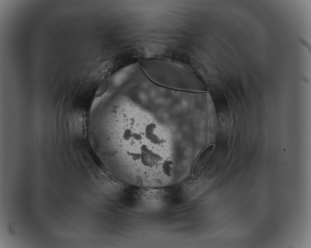 X0000091860527200709191118