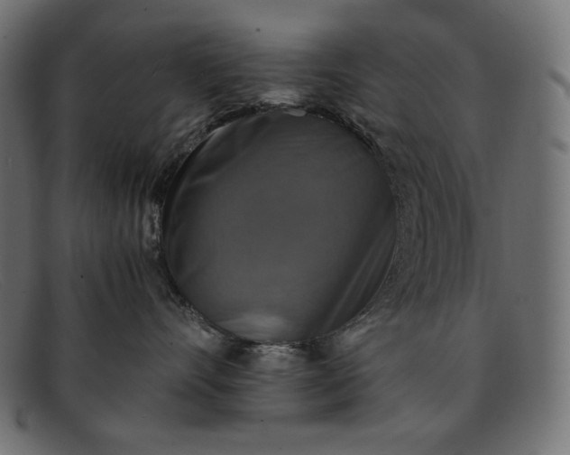 X0000091860528200709191118