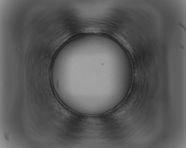 X0000091860529200709191118