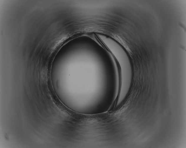 X0000091860530200709191118