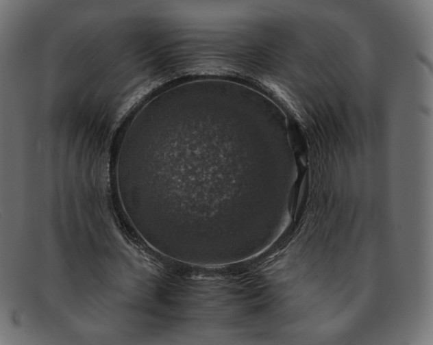 X0000091860531200709191118