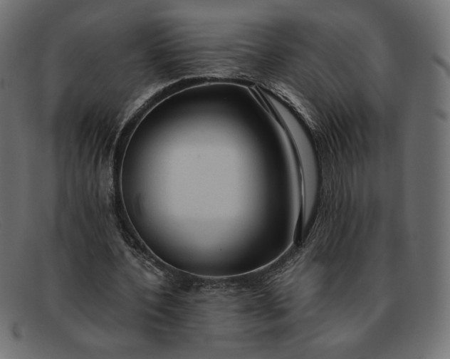 X0000091860532200709191118