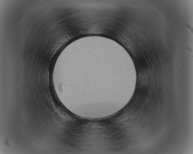 X0000091860534200709191118