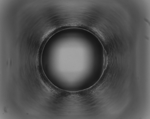 X0000091860536200709191118