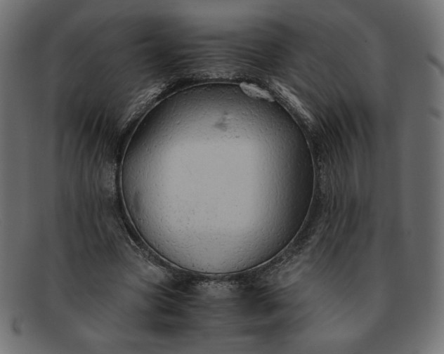 X0000091860537200709191118