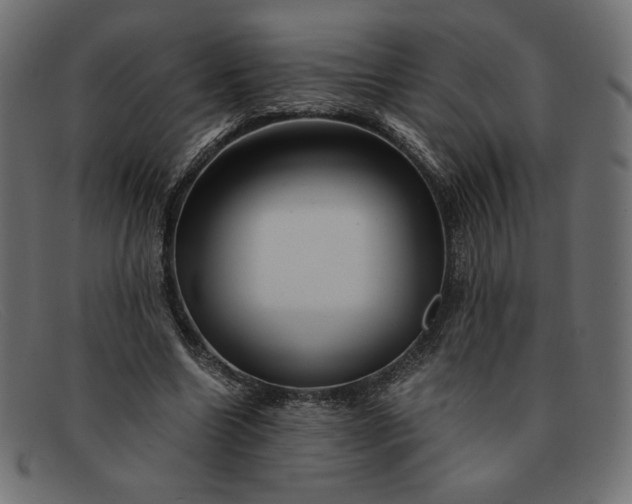 X0000091860538200709191118