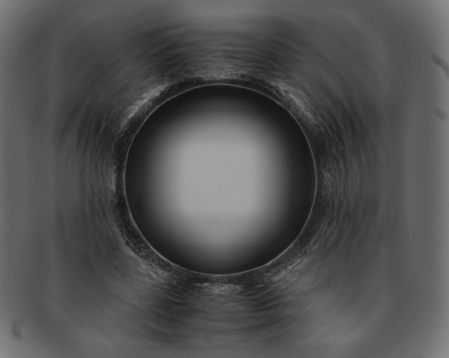 X0000091860539200709191118