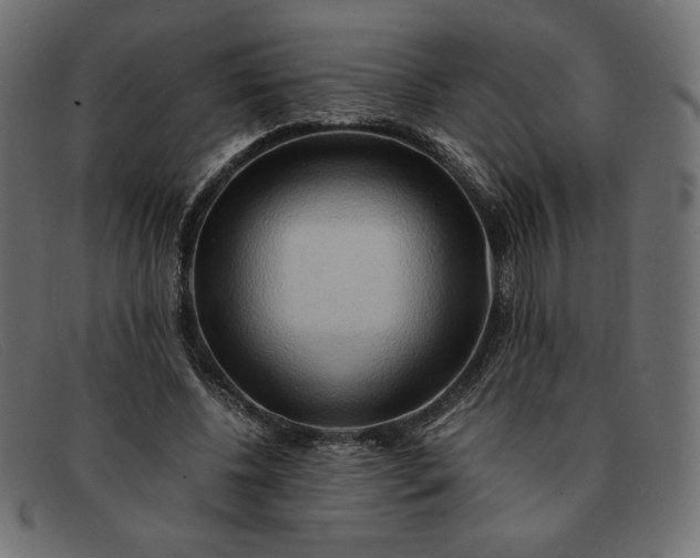 X0000091860540200709191118