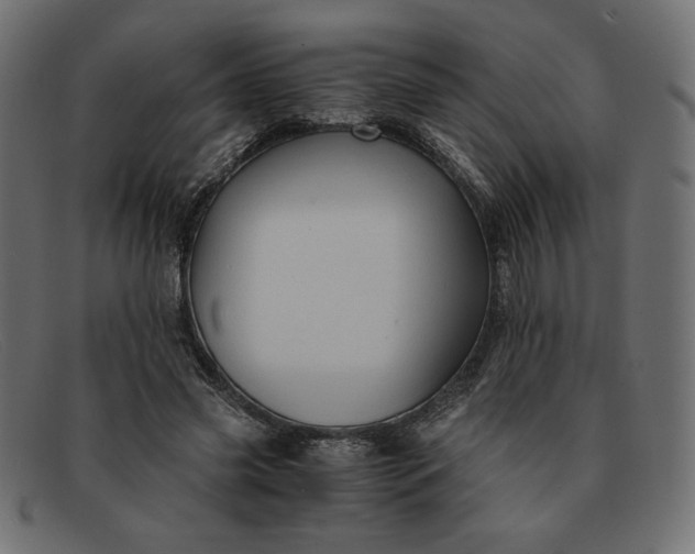 X0000091860541200709191118