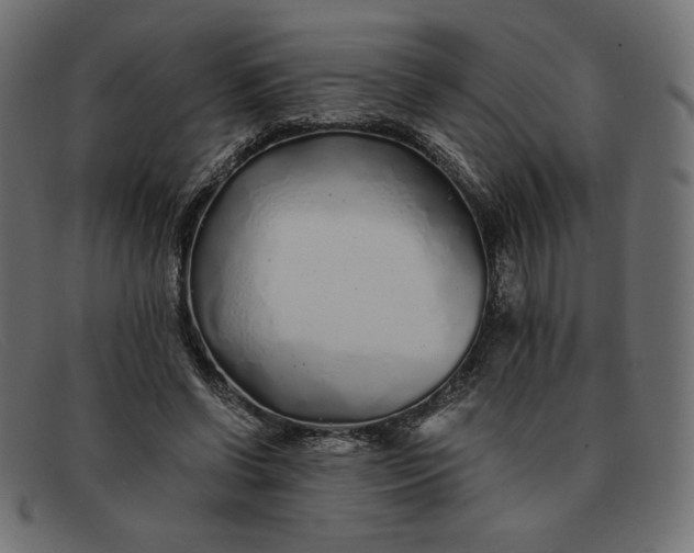 X0000091860542200709191118