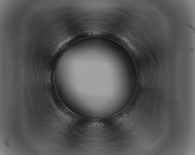 X0000091860543200709191118