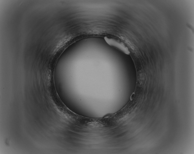 X0000091860544200709191118