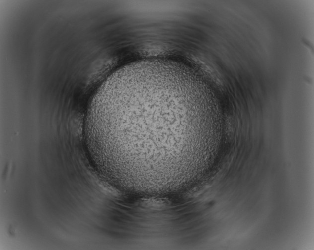 X0000091860545200709191118