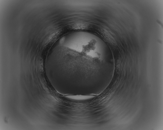 X0000091860547200709191118