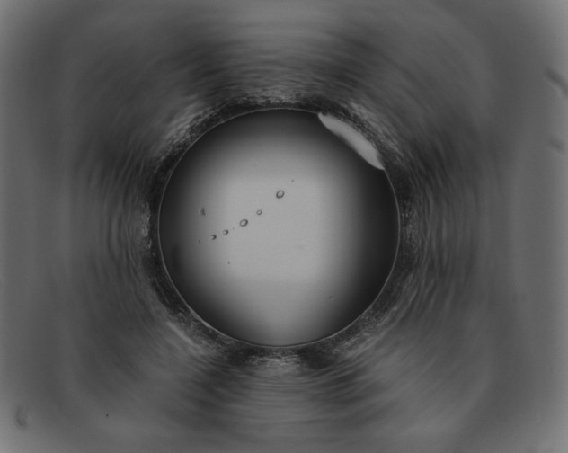 X0000091860548200709191118