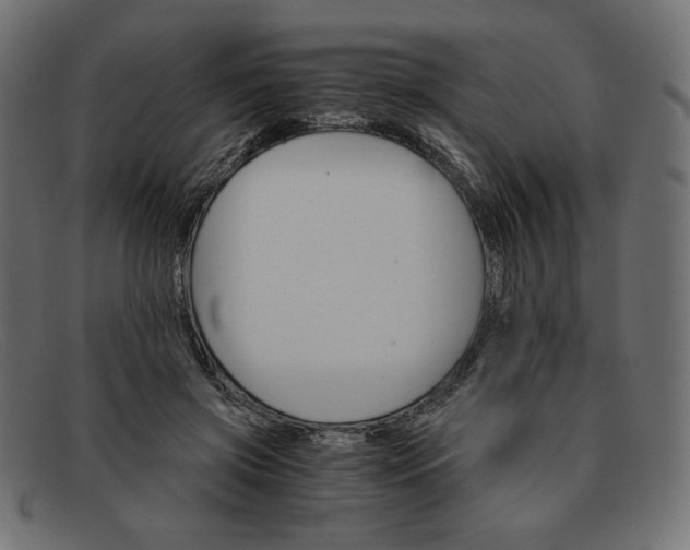 X0000091860549200709191118