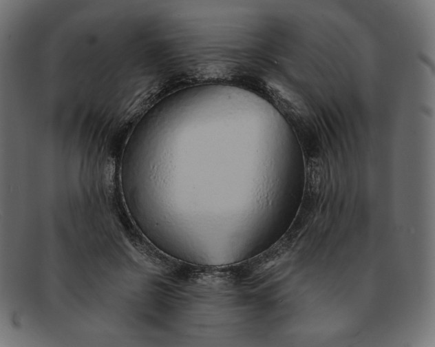 X0000091860550200709191118