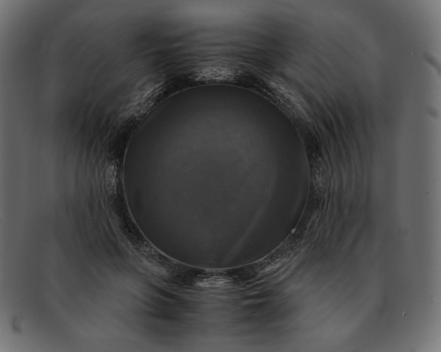 X0000091860551200709191118