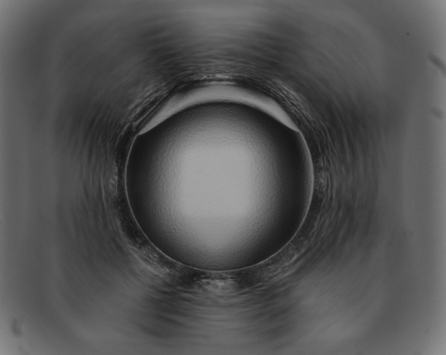 X0000091860552200709191118