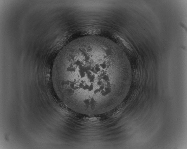 X0000091860553200709191118