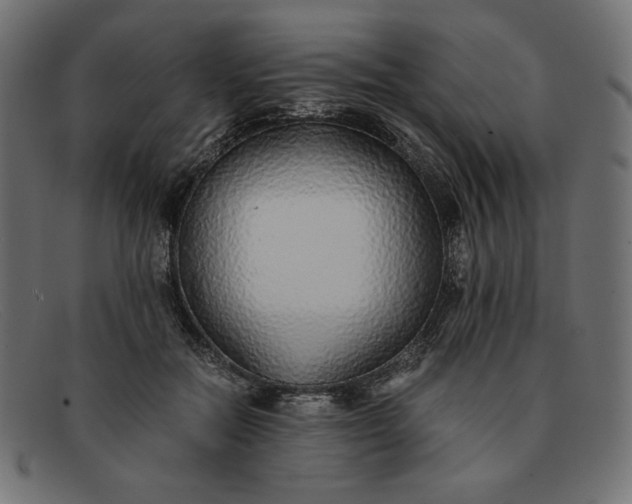 X0000091860554200709191118