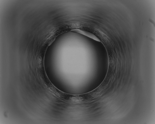 X0000091860556200709191118