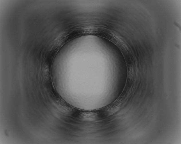 X0000091860557200709191118