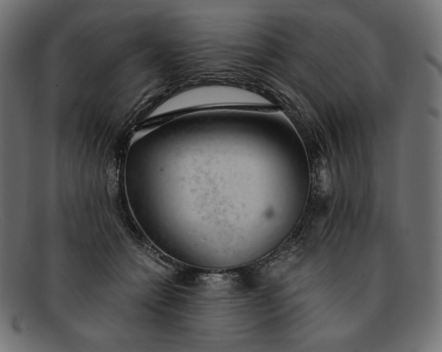 X0000091860558200709191118