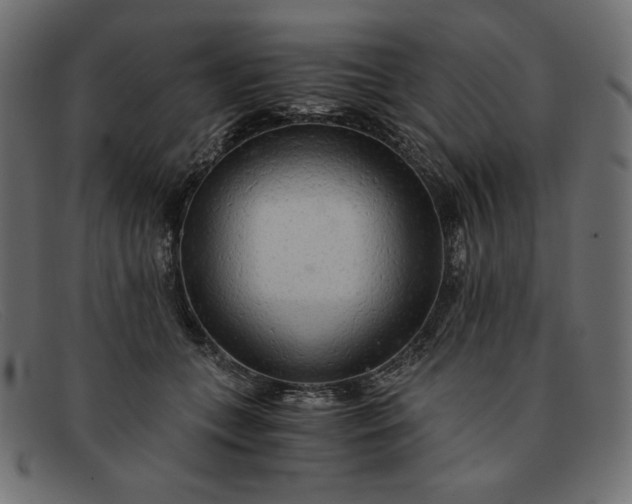 X0000091860559200709191118